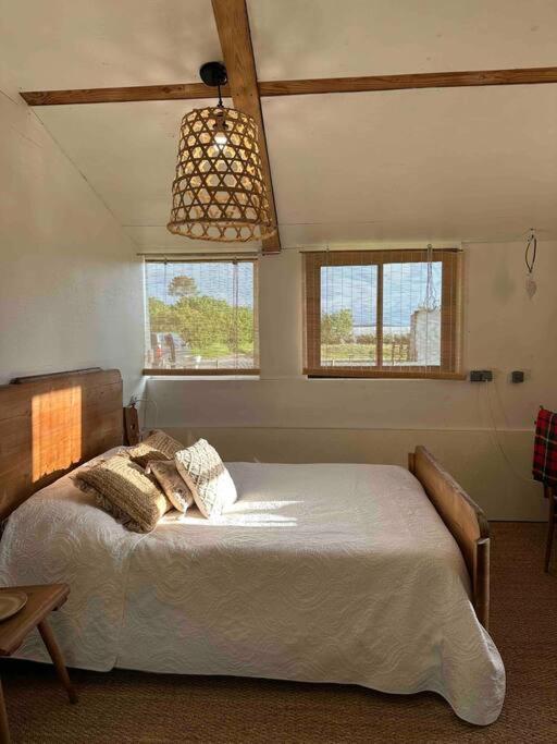 Cosy Cabane Boise Solaire, Balneo Bath Et Toilette Seche A La Ferme Mimizan-Plage Kültér fotó
