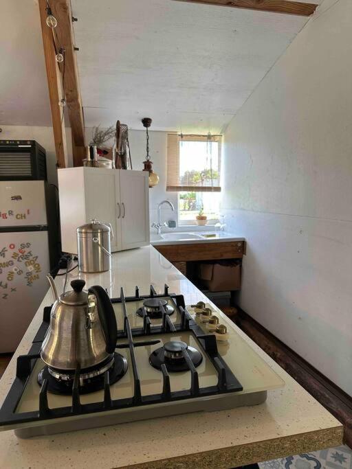Cosy Cabane Boise Solaire, Balneo Bath Et Toilette Seche A La Ferme Mimizan-Plage Kültér fotó
