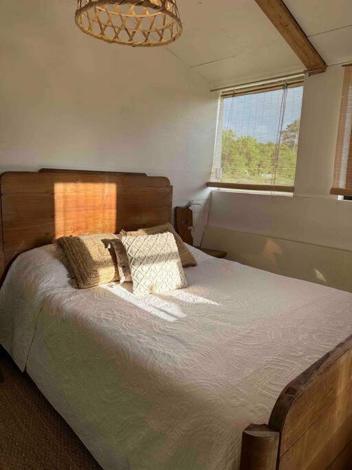 Cosy Cabane Boise Solaire, Balneo Bath Et Toilette Seche A La Ferme Mimizan-Plage Kültér fotó
